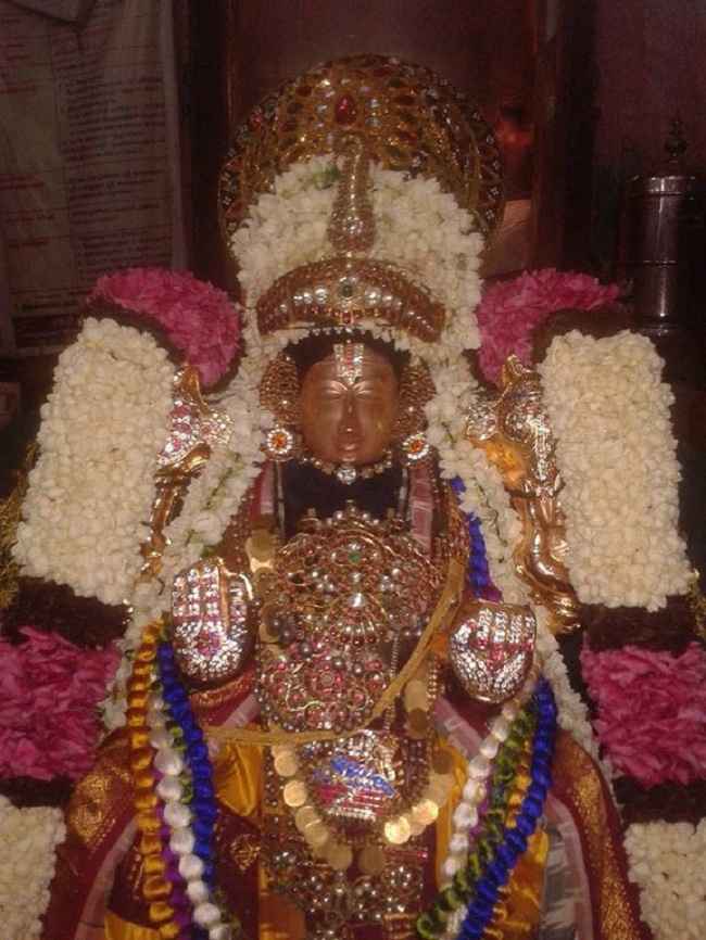 Thiru Chitrakoodam Sri Govindaraja Swamy Temple ThiruPavitrothsava Satrumurai3