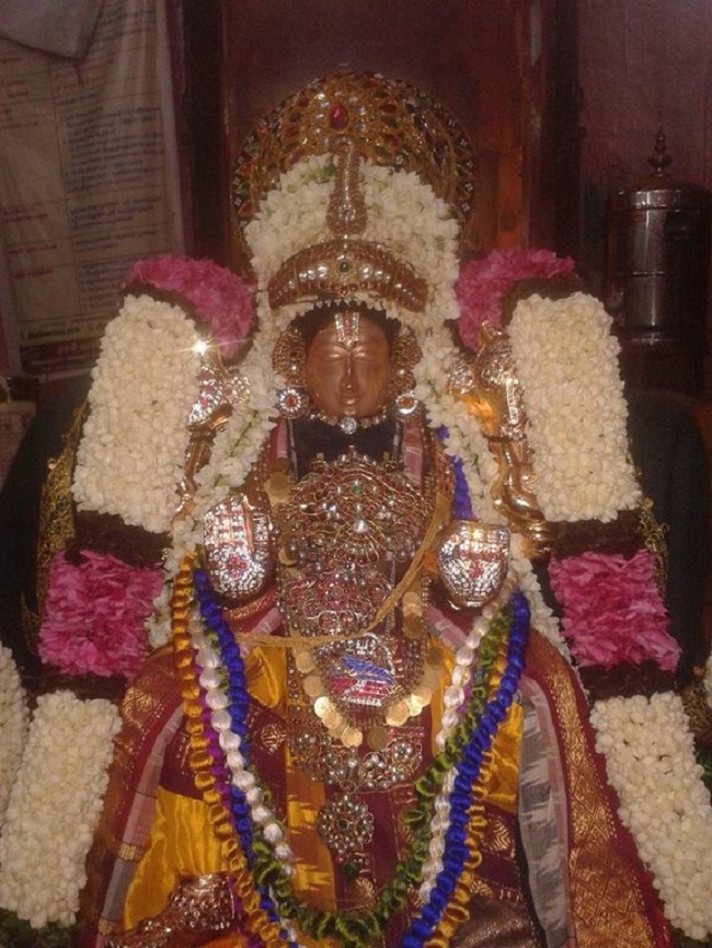 Thiru Chitrakoodam Sri Govindaraja Swamy Temple ThiruPavitrothsava Satrumurai7
