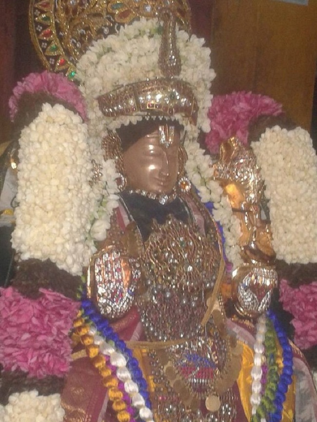 Thiru Chitrakoodam Sri Govindaraja Swamy Temple ThiruPavitrothsava Satrumurai9