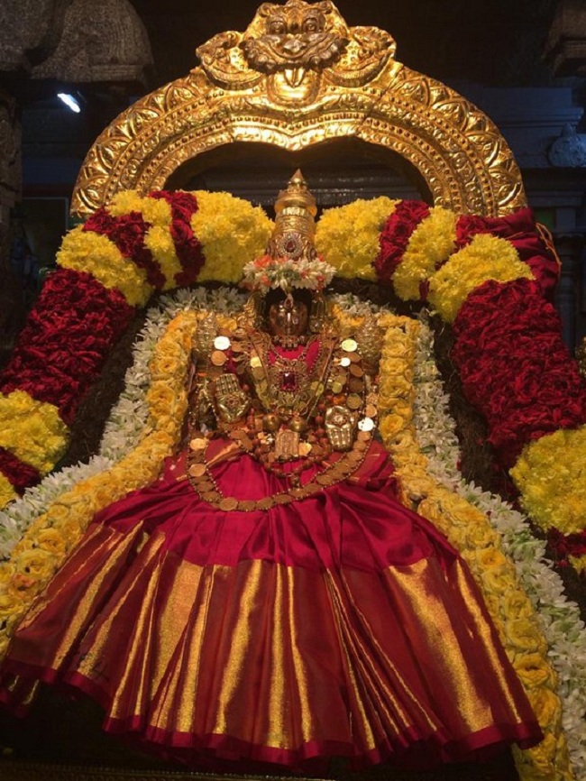 Thiruchanoor Sri Padmavathi Thayar temple Navarathiri Utsavam Commences2