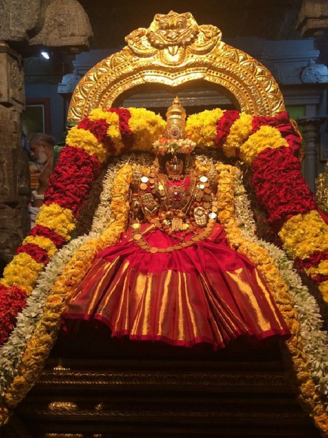 Thiruchanoor Sri Padmavathi Thayar temple Navarathiri Utsavam Commences4
