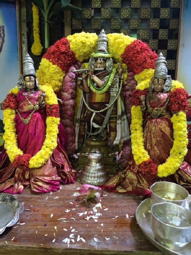 Thiruchanoor Sri Padmavathi Thayar temple ThiruPavithrothsavam Commences14