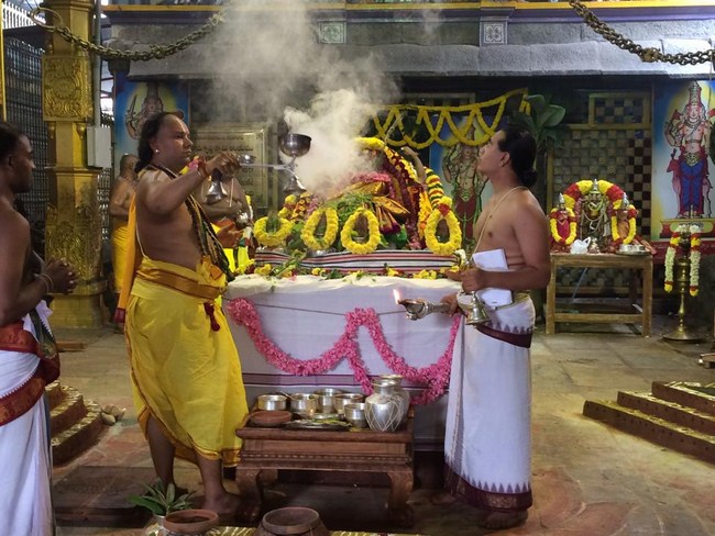 Thiruchanoor Sri Padmavathi Thayar temple ThiruPavithrothsavam Commences2