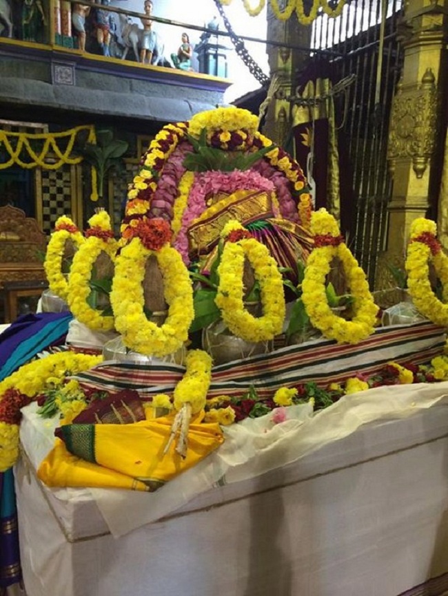 Thiruchanoor Sri Padmavathi Thayar temple ThiruPavithrothsavam Commences3