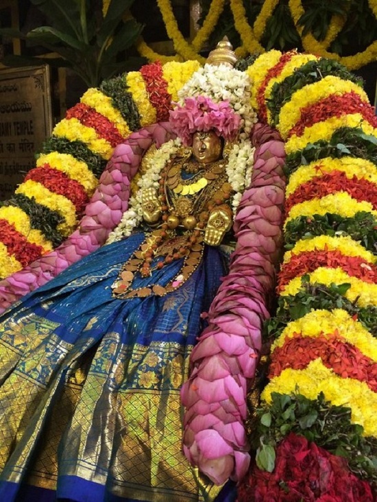 Thiruchanoor Sri Padmavathi Thayar temple ThiruPavithrothsavam Commences4