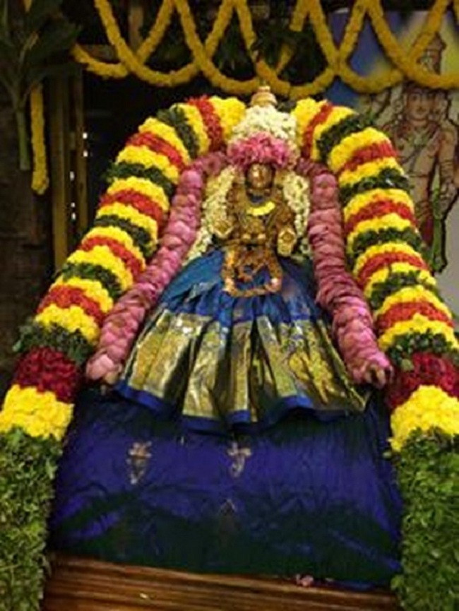 Thiruchanoor Sri Padmavathi Thayar temple ThiruPavithrothsavam Commences9