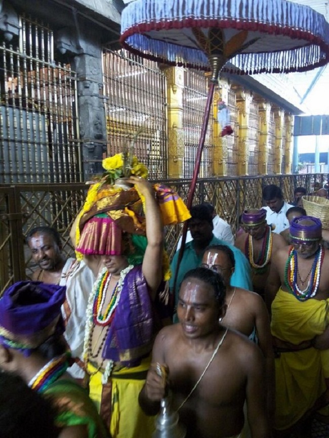 Thiruchanoor Sri Padmavathi Thayar temple ThiruPavithrothsavam Concludes10