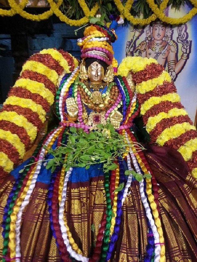 Thiruchanoor Sri Padmavathi Thayar temple ThiruPavithrothsavam Concludes12