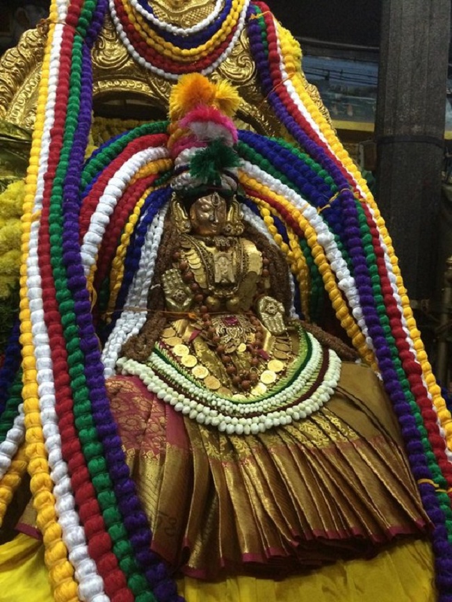 Thiruchanoor Sri Padmavathi Thayar temple ThiruPavithrothsavam Concludes14