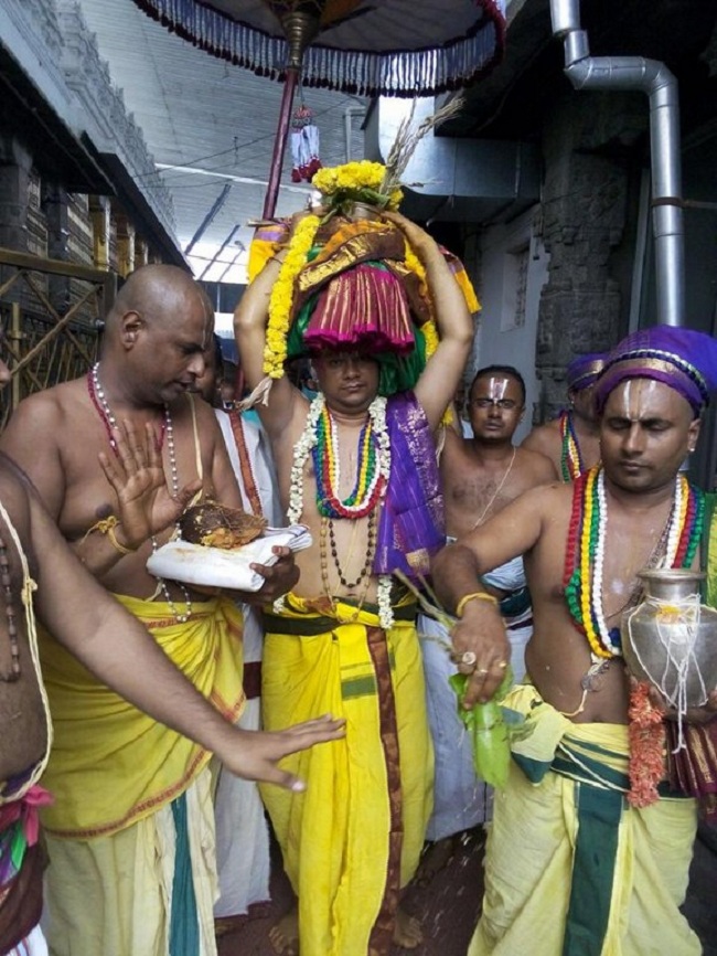 Thiruchanoor Sri Padmavathi Thayar temple ThiruPavithrothsavam Concludes17