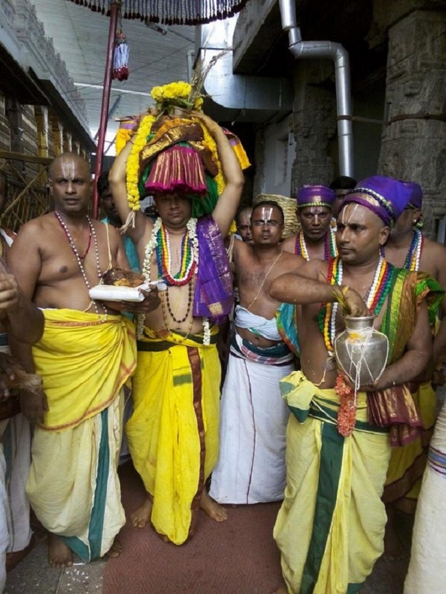 Thiruchanoor Sri Padmavathi Thayar temple ThiruPavithrothsavam Concludes3