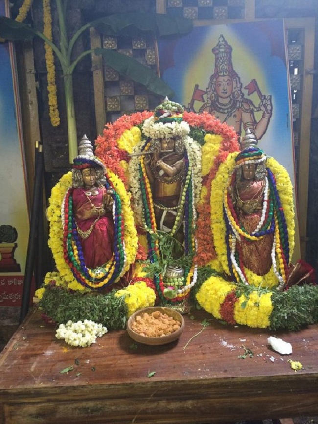 Thiruchanoor Sri Padmavathi Thayar temple ThiruPavithrothsavam Concludes4