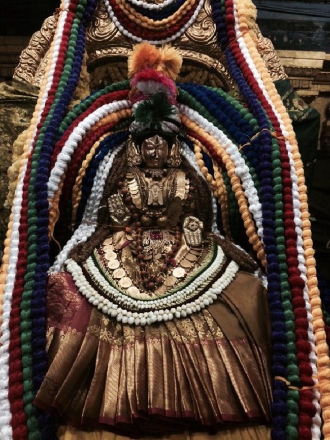 Thiruchanoor Sri Padmavathi Thayar temple ThiruPavithrothsavam Concludes6