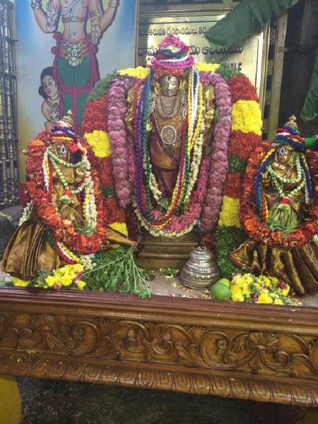 Thiruchanoor Sri Padmavathi Thayar temple ThiruPavithrothsavam Concludes8