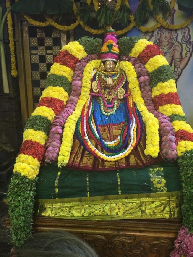Thiruchanoor Sri Padmavathi Thayar temple ThiruPavithrothsavam Concludes9