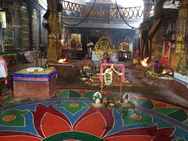 Thiruchanoor Sri Padmavathi Thayar temple ThiruPavithrothsavam19