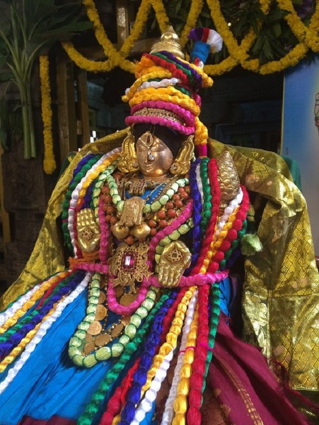 Thiruchanoor Sri Padmavathi Thayar temple ThiruPavithrothsavam21