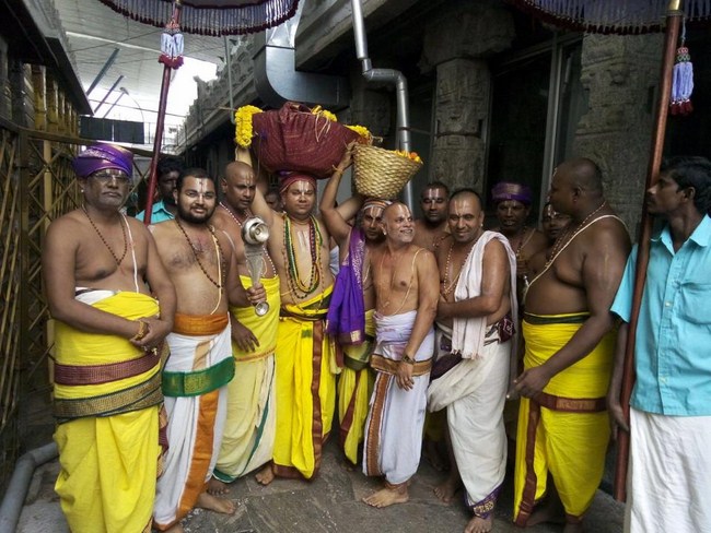 Thiruchanoor Sri Padmavathi Thayar temple ThiruPavithrothsavam25