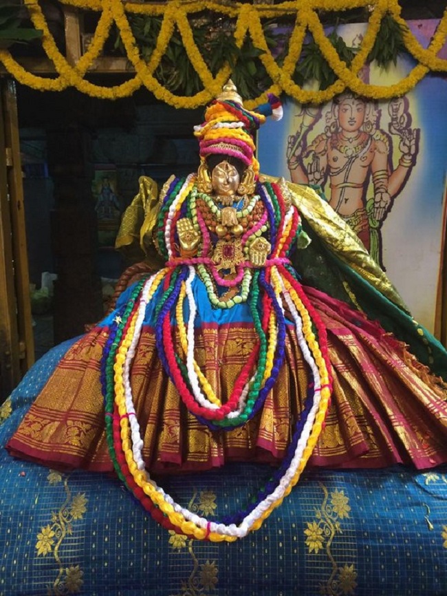 Thiruchanoor Sri Padmavathi Thayar temple ThiruPavithrothsavam5