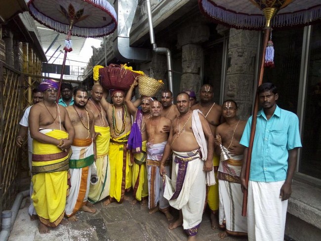 Thiruchanoor Sri Padmavathi Thayar temple ThiruPavithrothsavam9