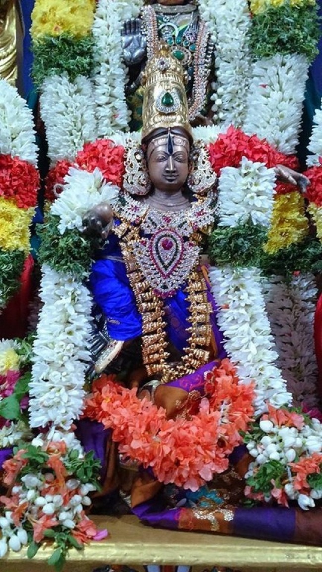 Thirukadalmallai Sri Sthalasayana Perumal Temple Uriyadi Utsavam9