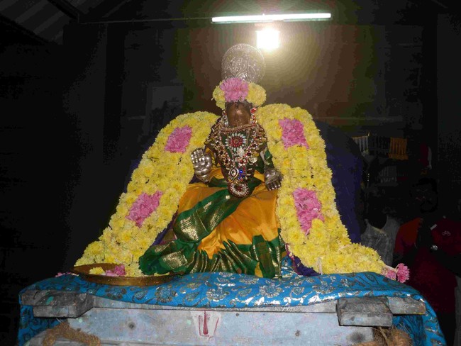Thirukannamangai  Navarathri Utsavam day 2 2014 16