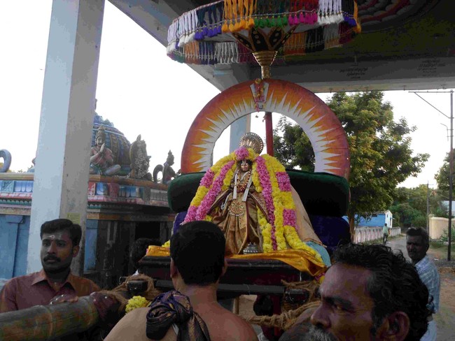 Thirukannamangai Swami Desikan 747 Thirunakshatra Utsavam commences  2014 06