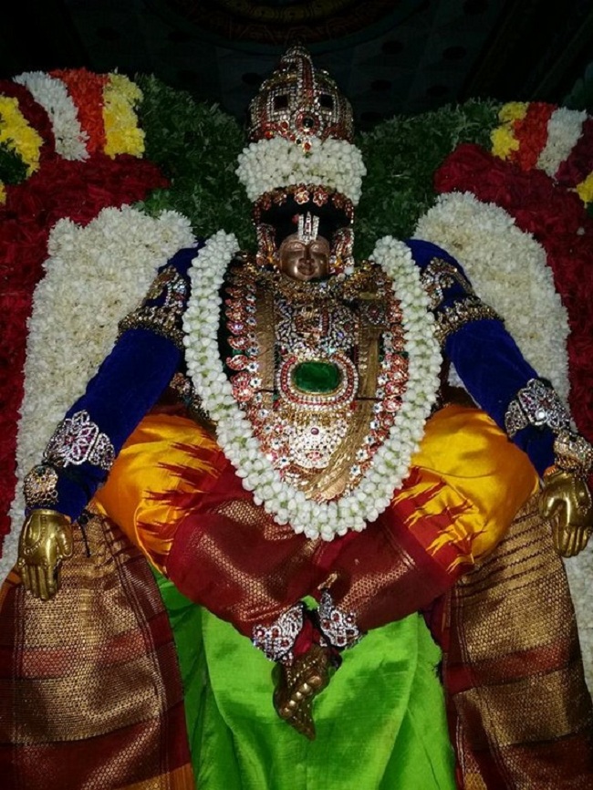 Thirukovalur Sri Trivikrama Perumal Temple Sri Jayanthi Utsavam10