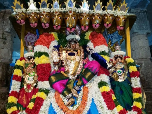 Thirukovalur Sri Trivikrama Perumal Temple Sri Jayanthi Utsavam1