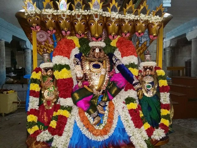 Thirukovalur Sri Trivikrama Perumal Temple Sri Jayanthi Utsavam2