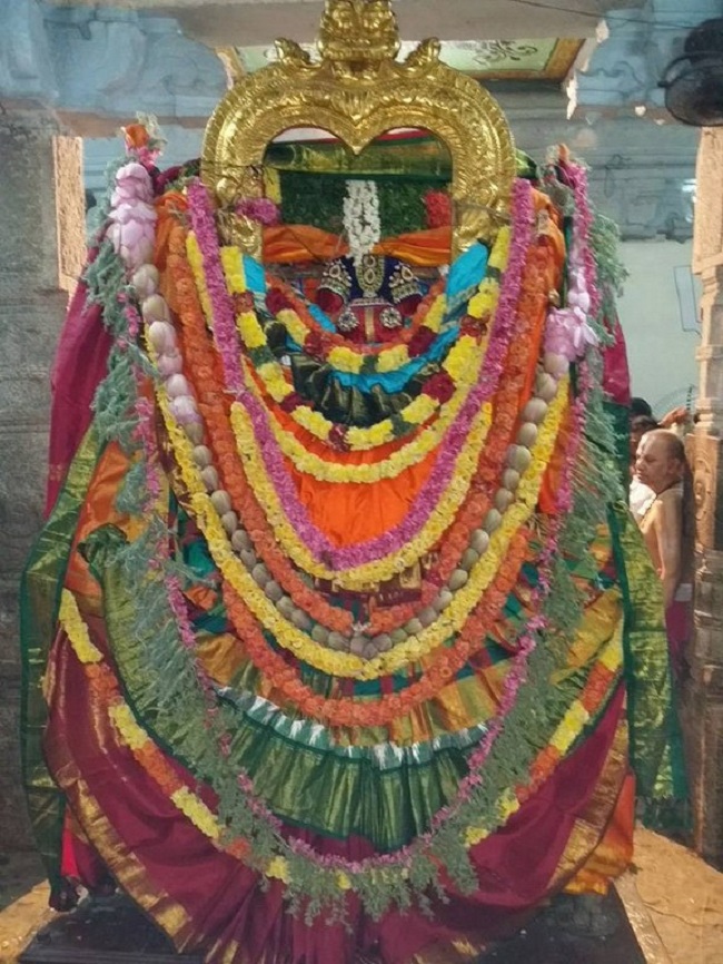 Thirukovalur Sri Trivikrama Perumal Temple Sri Jayanthi Utsavam5