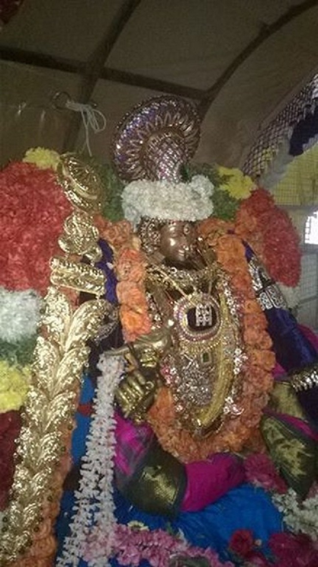 Thirukovalur Sri Trivikrama Perumal Temple Sri Jayanthi Utsavam8