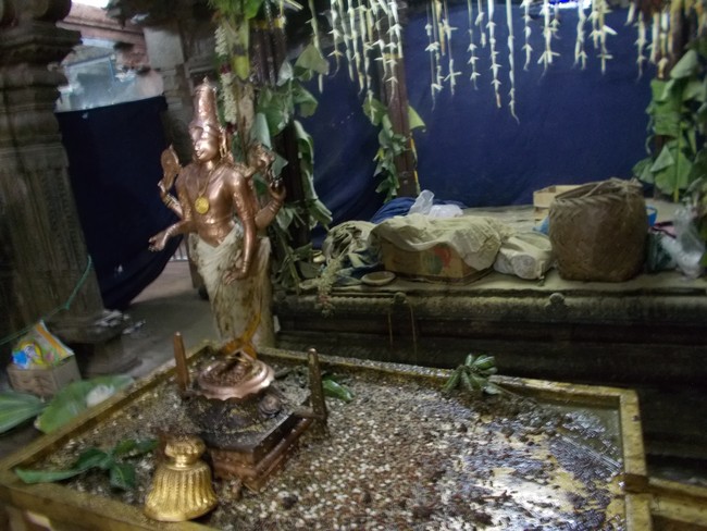 Thirumaliruncholai Kallazhagar Temple Pavithrotsavam 108 Kalasa Thirumanjanam  2014  33