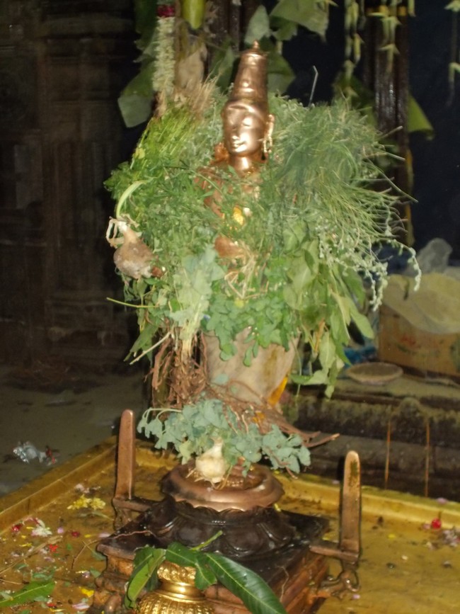 Thirumaliruncholai Kallazhagar Temple Pavithrotsavam 108 Kalasa Thirumanjanam  2014  46