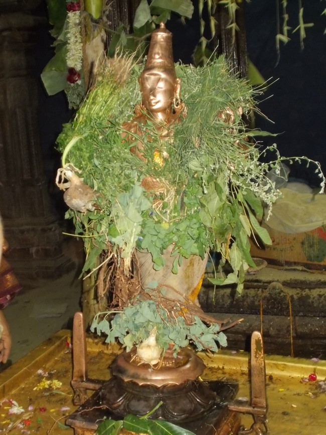 Thirumaliruncholai Kallazhagar Temple Pavithrotsavam 108 Kalasa Thirumanjanam  2014  47