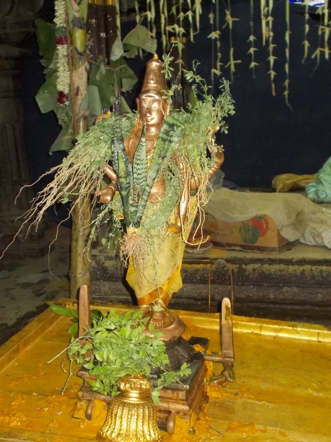 Thirumaliruncholai Kallazhagar Temple Pavithrotsavam 108 Kalasa Thirumanjanam  2014  52