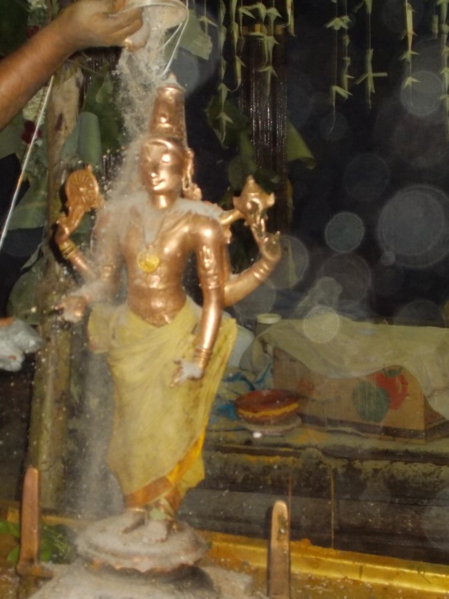 Thirumaliruncholai Kallazhagar Temple Pavithrotsavam 108 Kalasa Thirumanjanam  2014  56