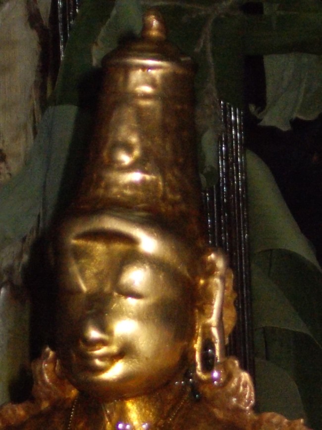 Thirumaliruncholai Kallazhagar Temple Pavithrotsavam 108 Kalasa Thirumanjanam  2014  60