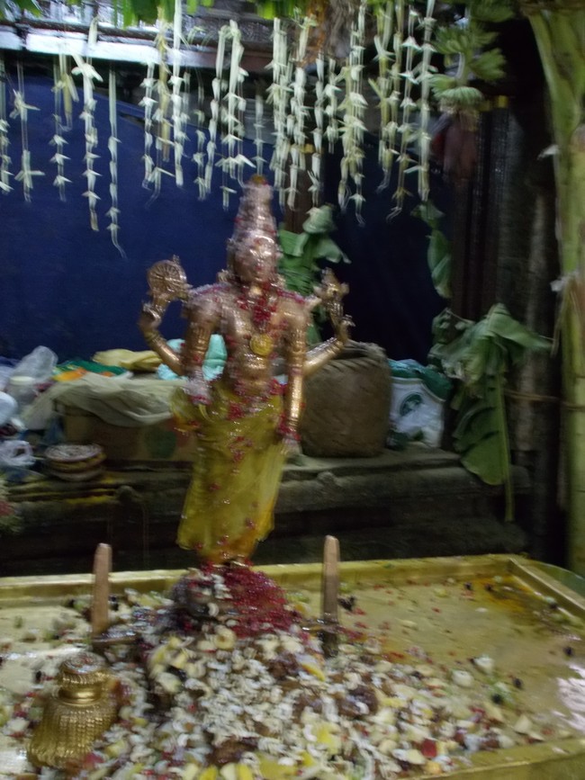 Thirumaliruncholai Kallazhagar Temple Pavithrotsavam 108 Kalasa Thirumanjanam  2014  66