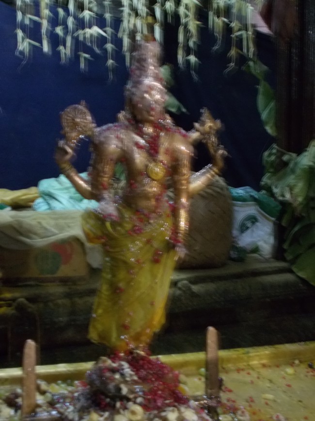 Thirumaliruncholai Kallazhagar Temple Pavithrotsavam 108 Kalasa Thirumanjanam  2014  67