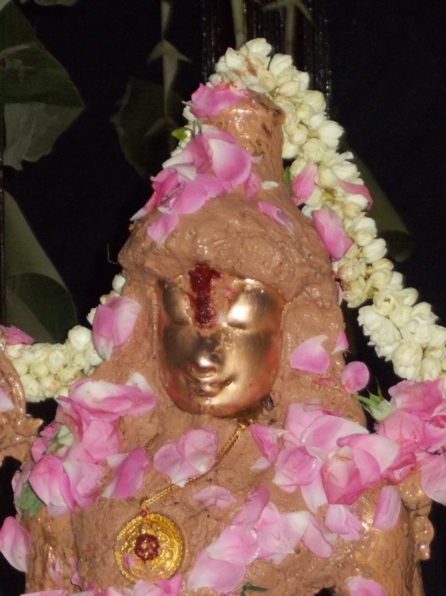 Thirumaliruncholai Kallazhagar Temple Pavithrotsavam 108 Kalasa Thirumanjanam  2014  71