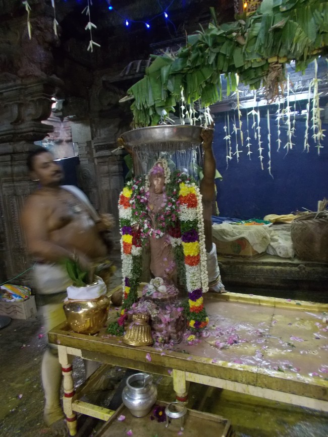 Thirumaliruncholai Kallazhagar Temple Pavithrotsavam 108 Kalasa Thirumanjanam  2014  76