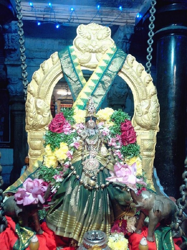 Thirupullani Sri Padmasini Thayar Navarathiri Utsavam Commences10