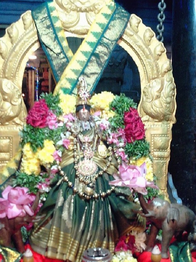 Thirupullani Sri Padmasini Thayar Navarathiri Utsavam Commences3