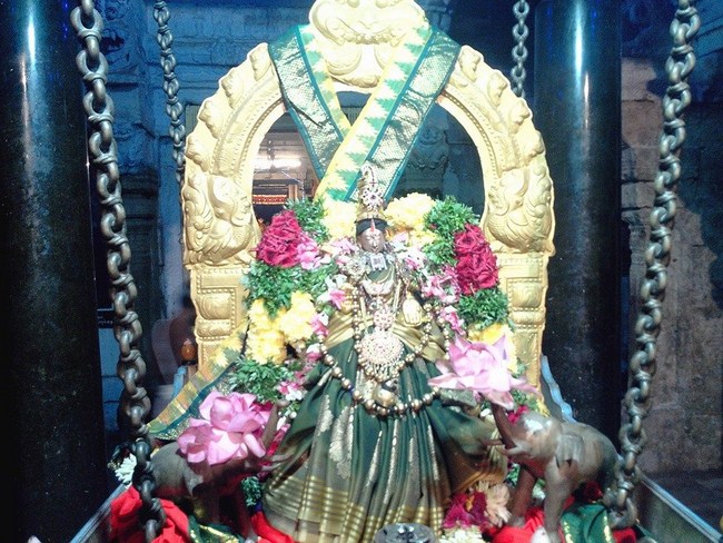 Thirupullani Sri Padmasini Thayar Navarathiri Utsavam Commences4