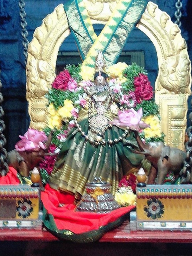 Thirupullani Sri Padmasini Thayar Navarathiri Utsavam Commences5