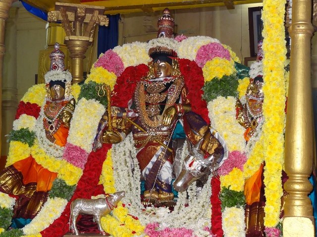 Thiruvahindrapuram Sri Devanatha Perumal Temple Sri Jayanthi Utsavam 2014 03