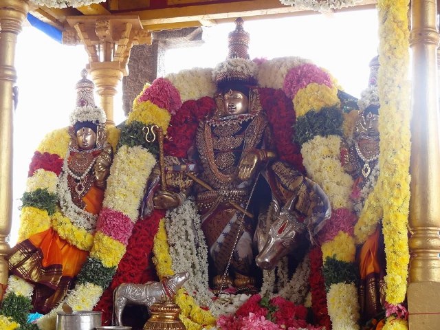 Thiruvahindrapuram Sri Devanatha Perumal Temple Sri Jayanthi Utsavam 2014 09