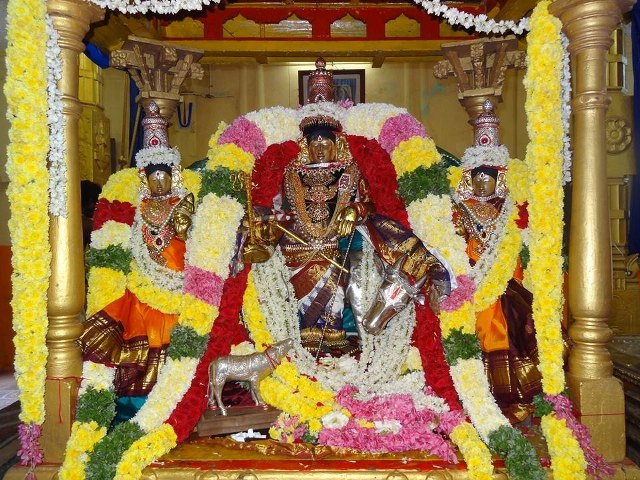 Thiruvahindrapuram Sri Devanatha Perumal Temple Sri Jayanthi Utsavam 2014 11
