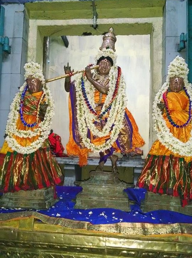 Thiruvahindrapuram Sri Devanatha Perumal Temple Sri Jayanthi Utsavam thirumanjanam 2014 3